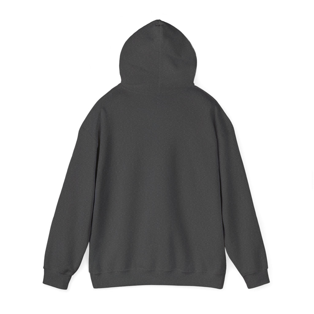 Halloween Pumpkin Patch Hoodie — "Trick or Treat" Vintage Jack-o'-Lantern Sweatshirt