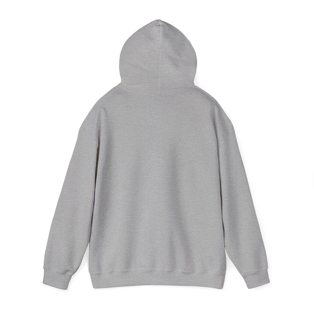 Halloween Pumpkin Patch Hoodie — "Trick or Treat" Vintage Jack-o'-Lantern Sweatshirt